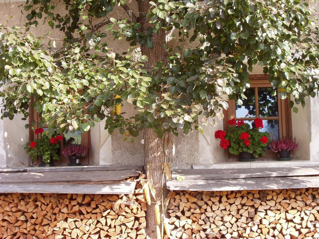 Appartement Mansarda Dolomiti à Rasun di Sopra Extérieur photo